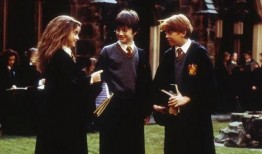 哈利作业最新爆料,揭秘神秘任务背后的真相